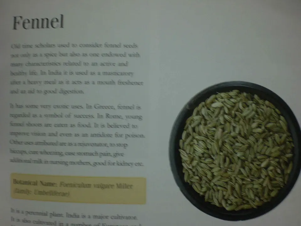 Spezie del Kerala, foto 10 di 22