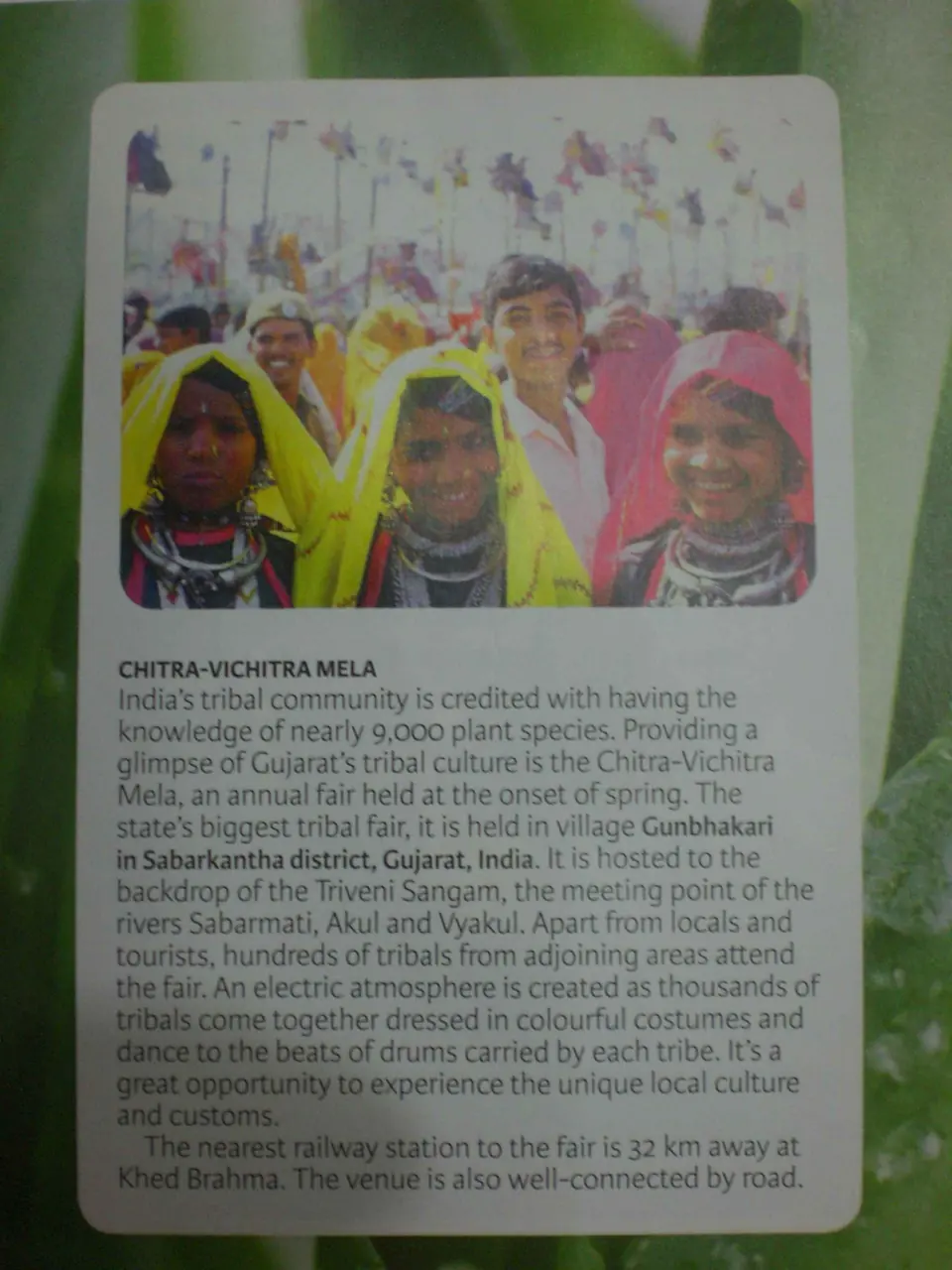 Spezie del Kerala, foto 21 di 22