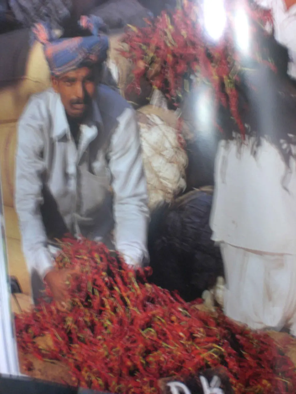 Spezie del Kerala, foto 4 di 22